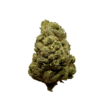 blue cheese strain