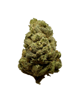 blue cheese strain