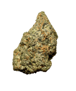 Black Cherry Gushers
