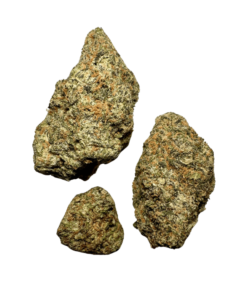 Black Cherry Gushers