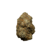 Gelatti Strain