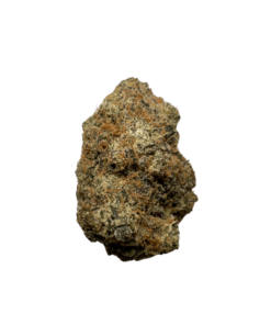Gelatti Strain