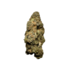 kamikaze strain