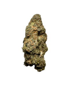 kamikaze strain