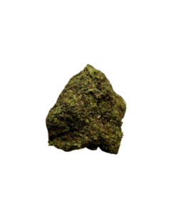 Gumbo Strain