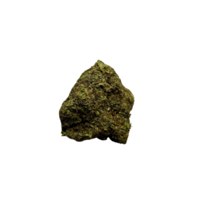 Gumbo Strain