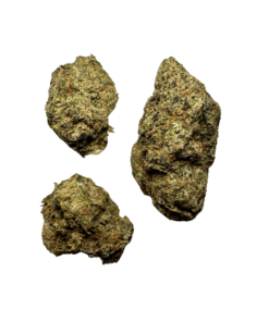 Gelato 33