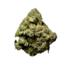 cheese strain
