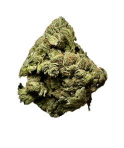 cheese strain