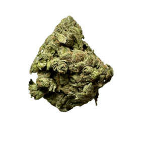 cheese strain