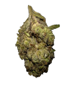 24K Strain