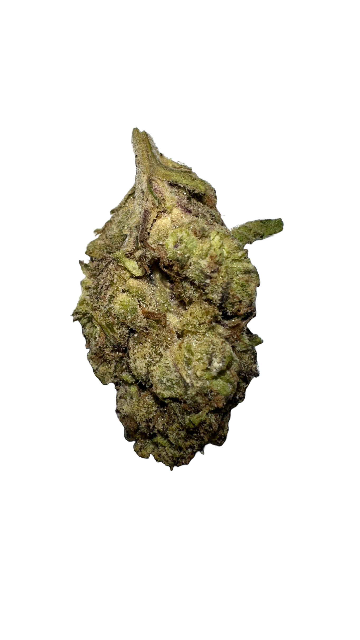 IMG_2935 24K Strain