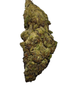 pink runtz strain