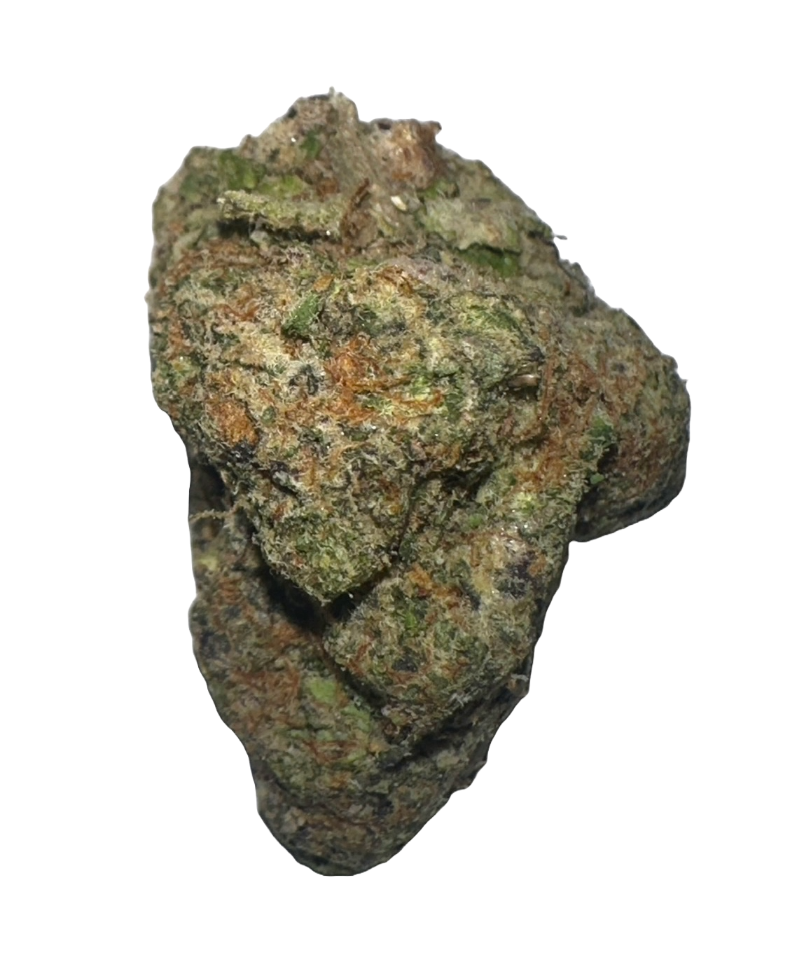 melted sherb strain
