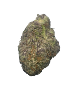 Rainbow strain