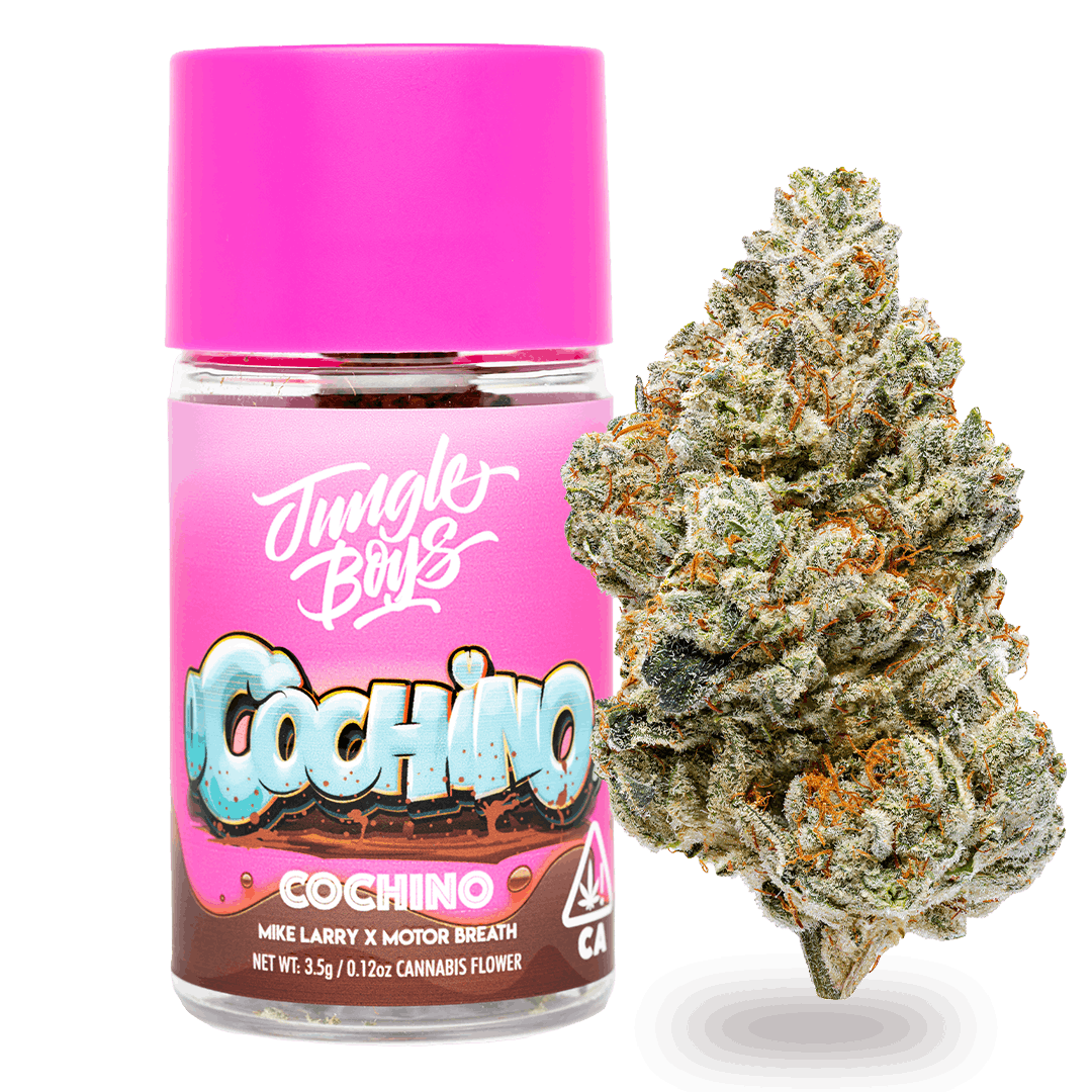 jungle-boys-cochino Jungle Boys