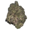 zushi strain