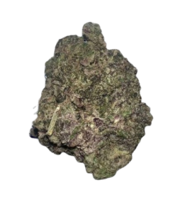 zushi strain