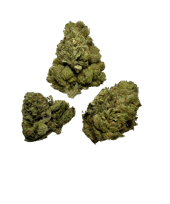 blue cheese strain