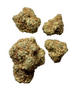 amnesia haze strains