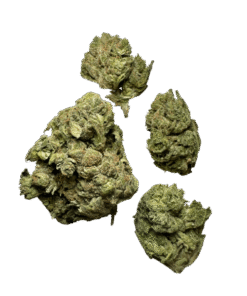 cheese weed