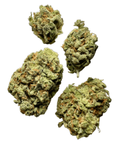 super silver haze effects