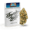 Skywalker OG