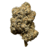 Lemon Cherry Gelato
