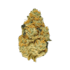 Stardawg