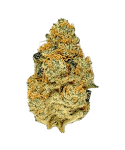 Stardawg