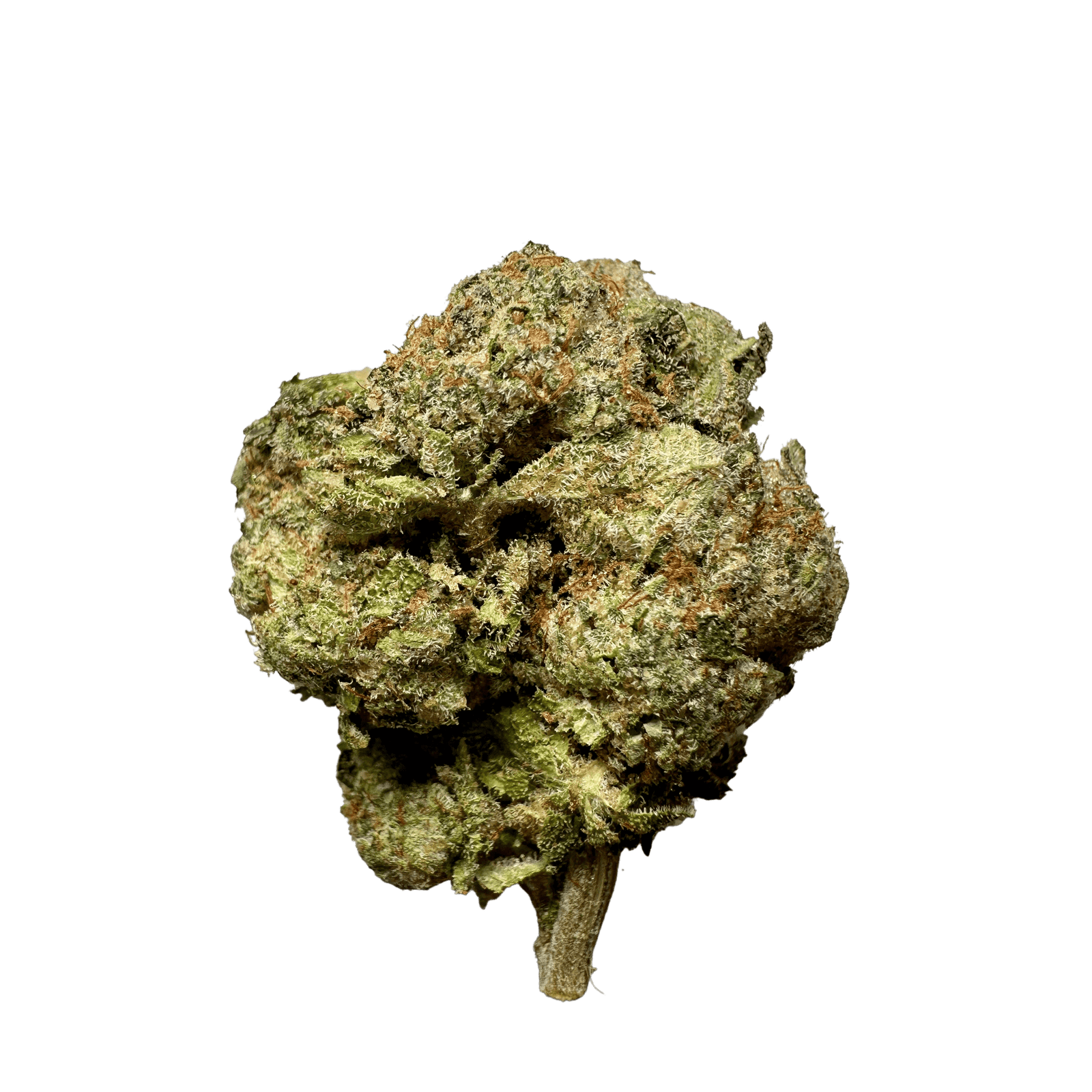 IMG_1830-min OG Kush