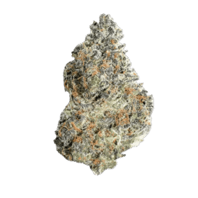 Northern Lights